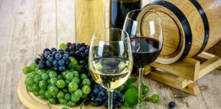 Syrah je odrůda vína, kterou miluji