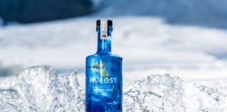 Bivrost Arctic Gin: Umění Arktidy v každém doušku